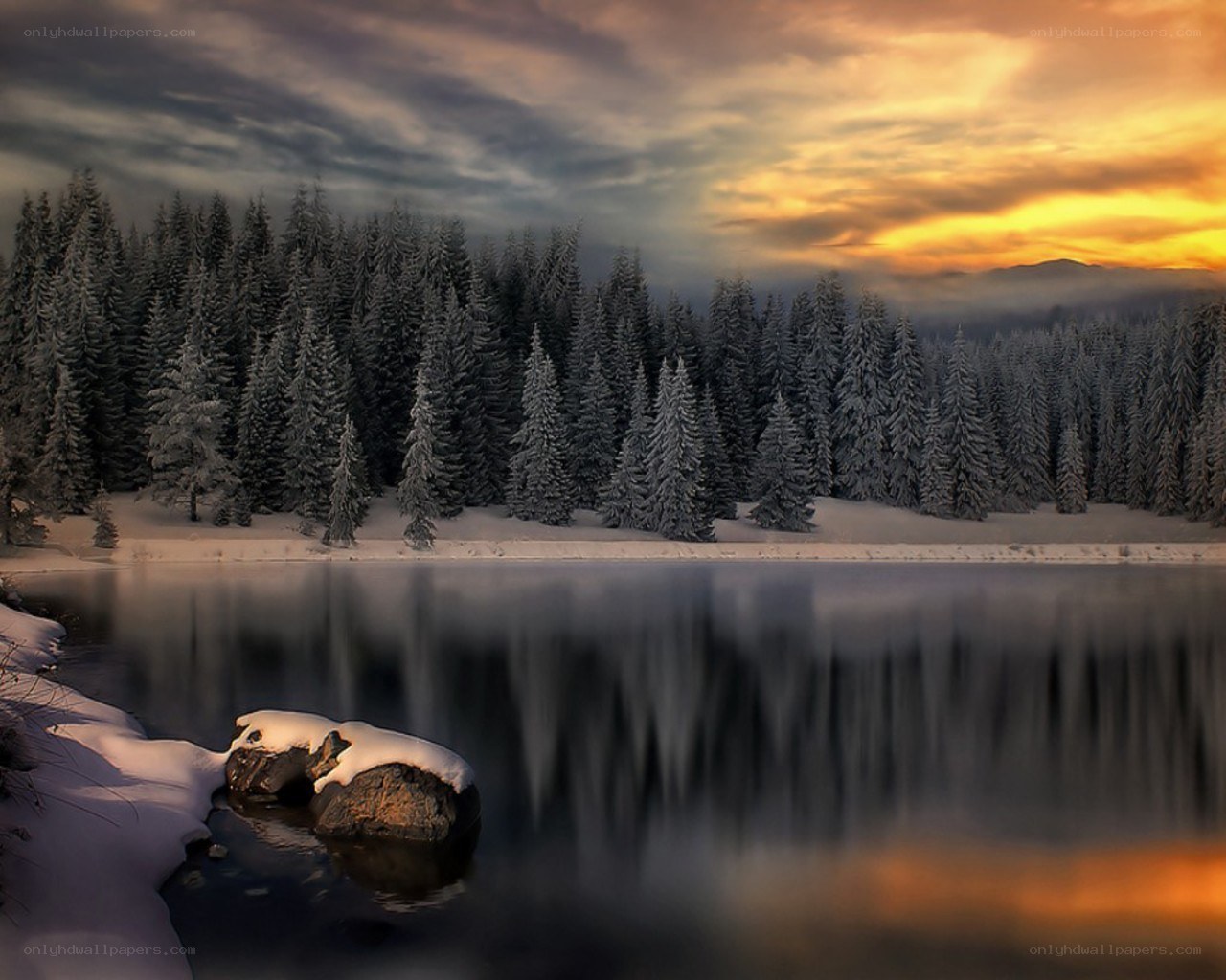 Snowy forest at sunset