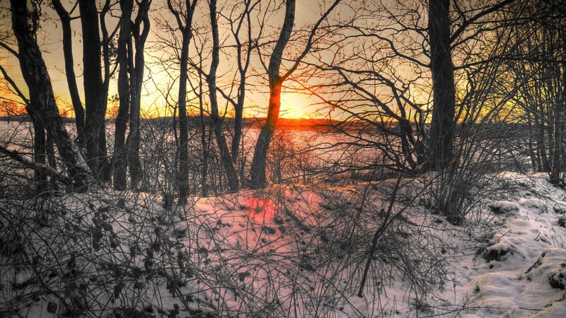 Snowy Forest at Sunset — Orange