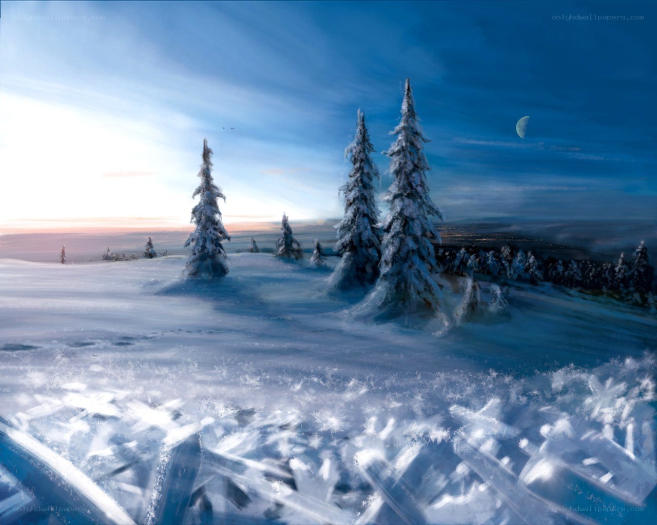 Snowy forest at twilight