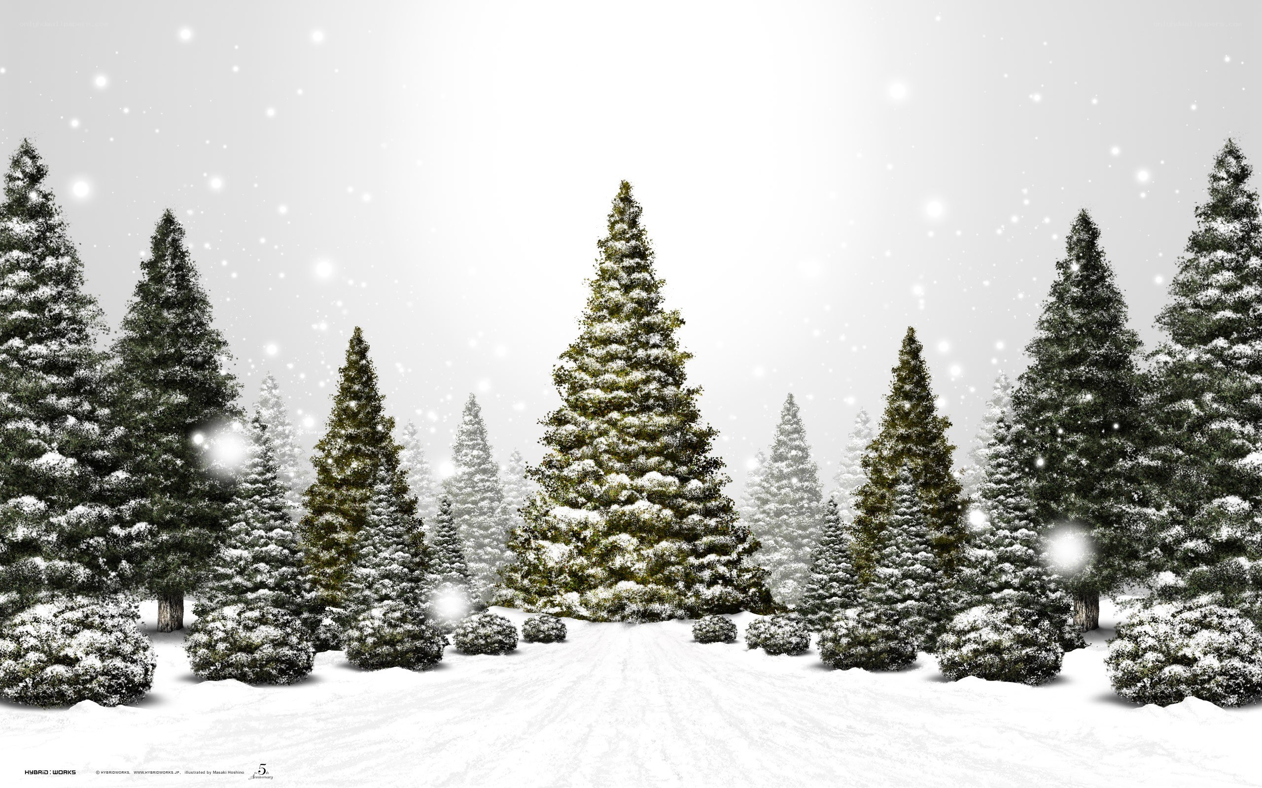 Snowy forest at winter