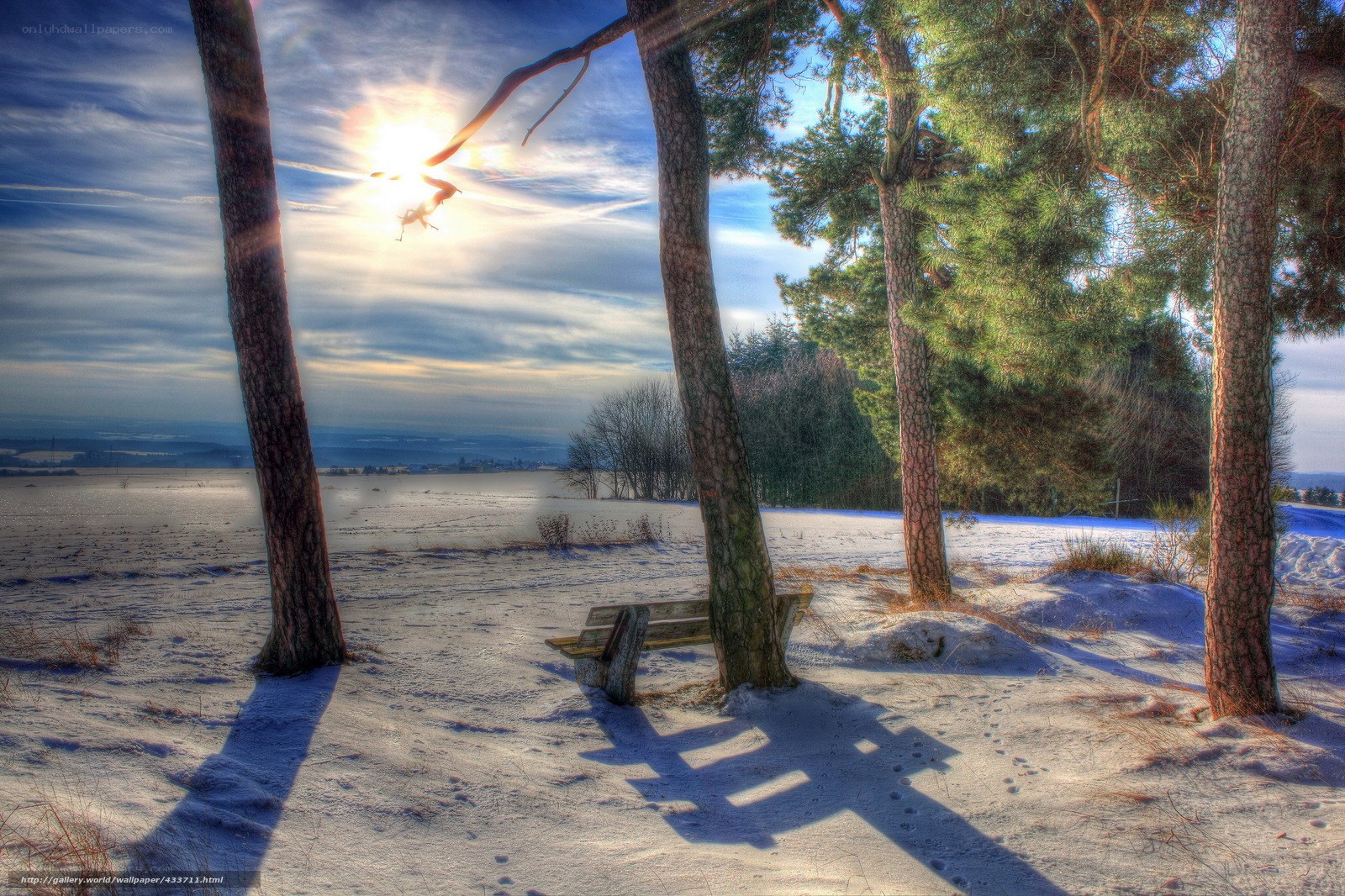 Snowy forest bench at sunrise