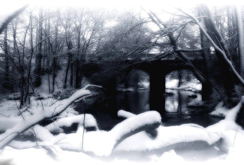 Snowy forest bridge scene