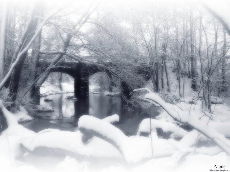 Snowy forest bridge scene