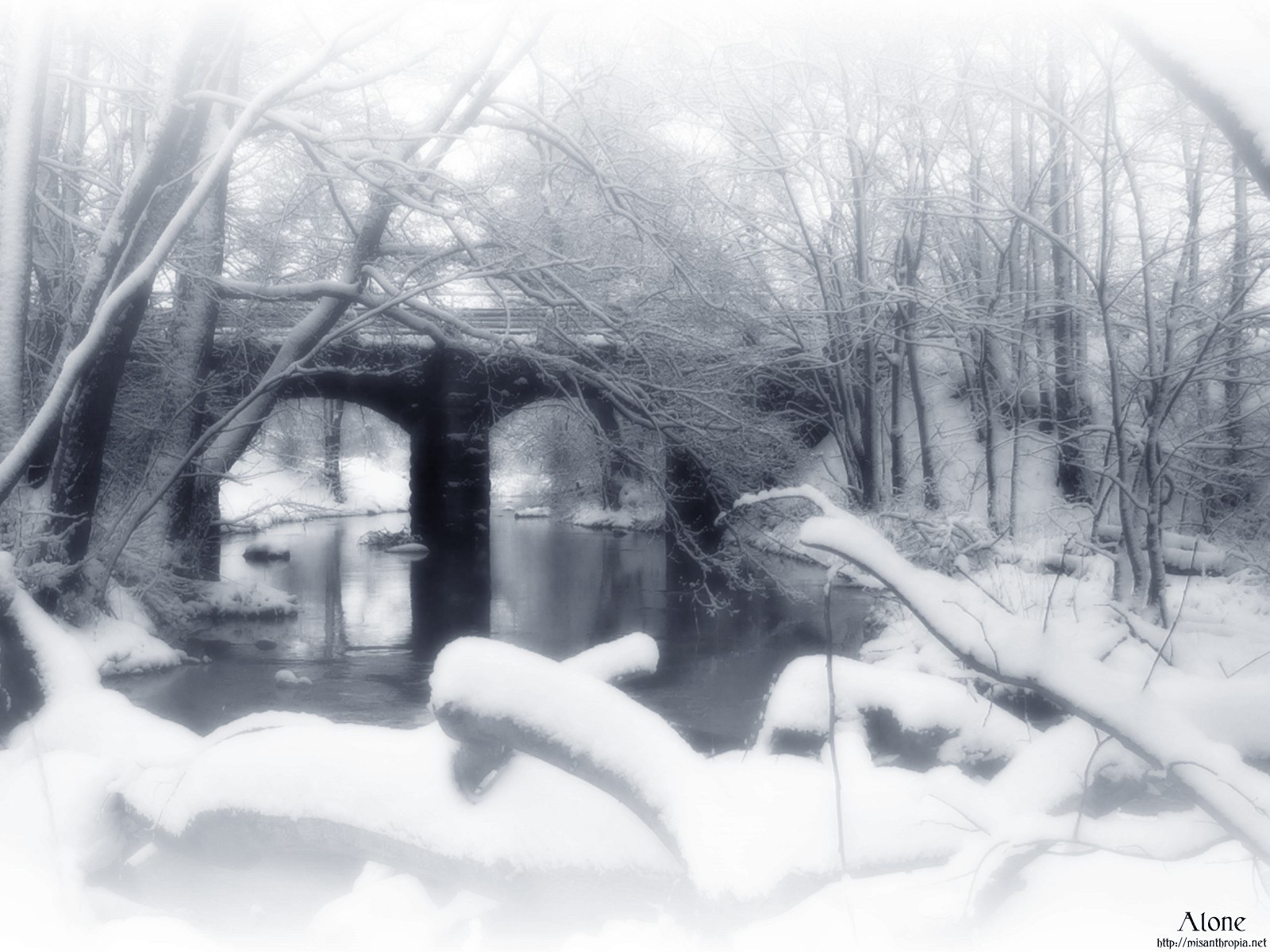 Snowy forest bridge scene