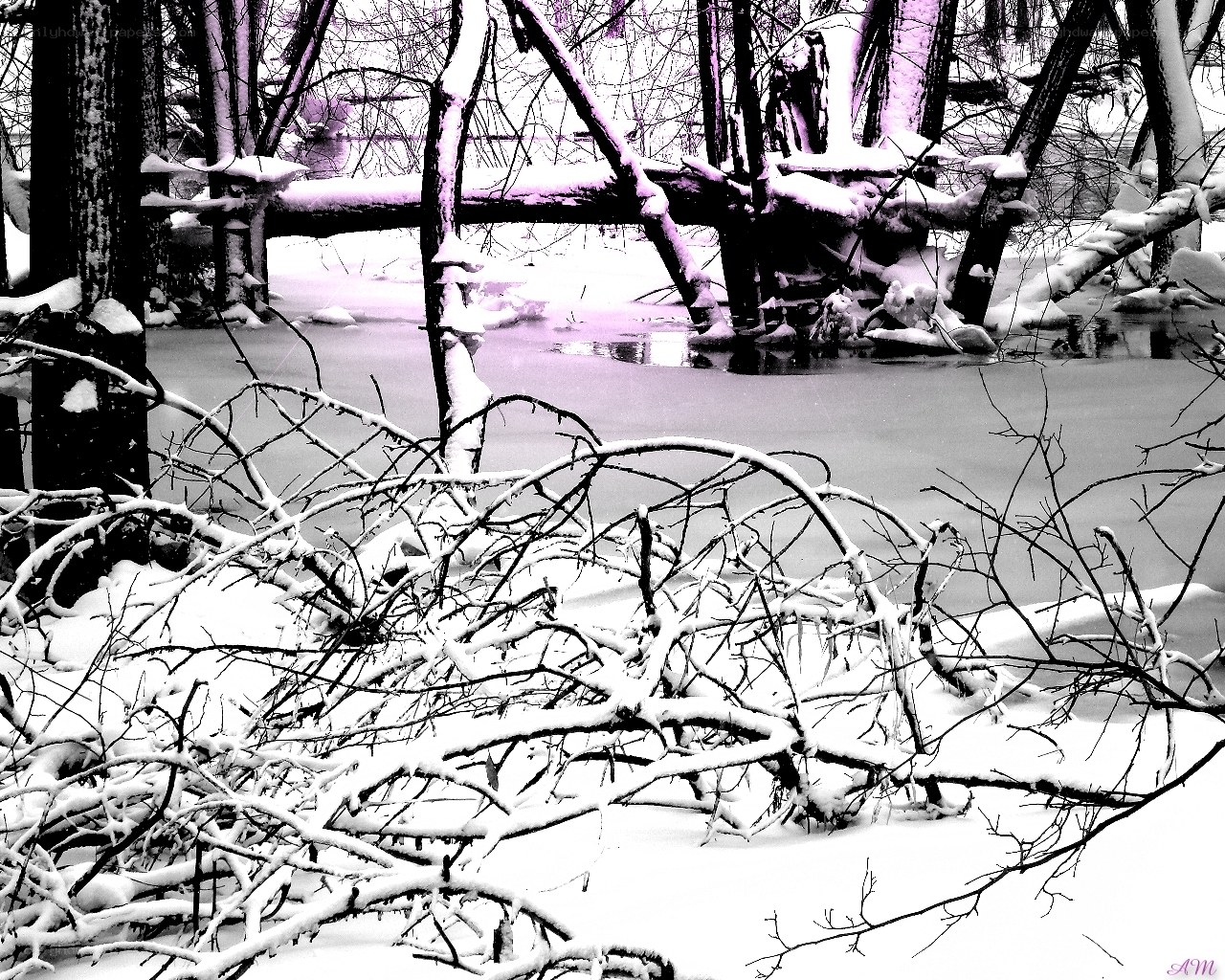 Snowy forest by a frozen river