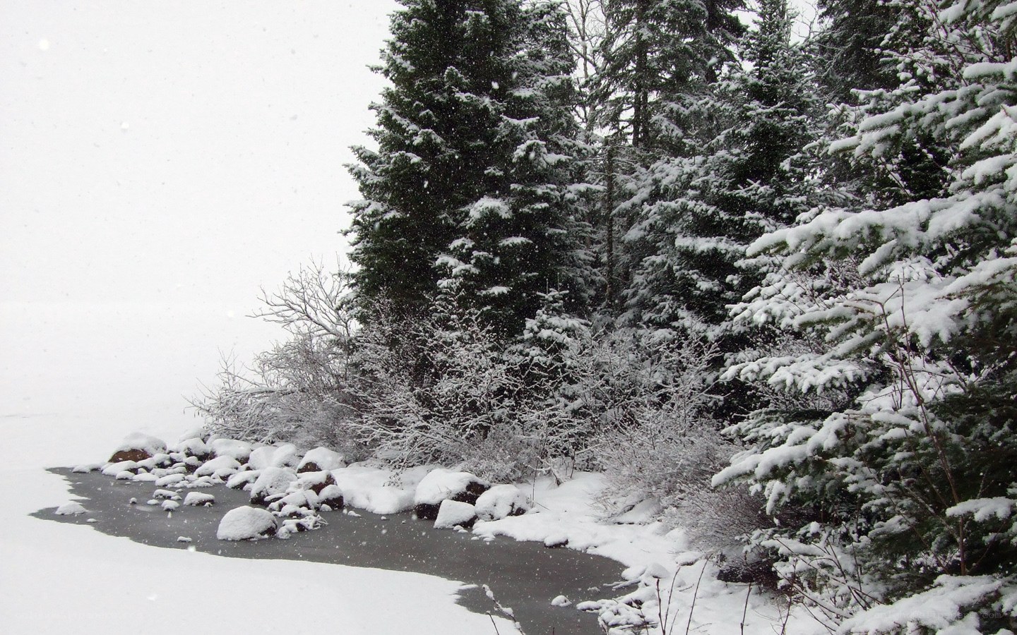 snowy forest by a frozen stream