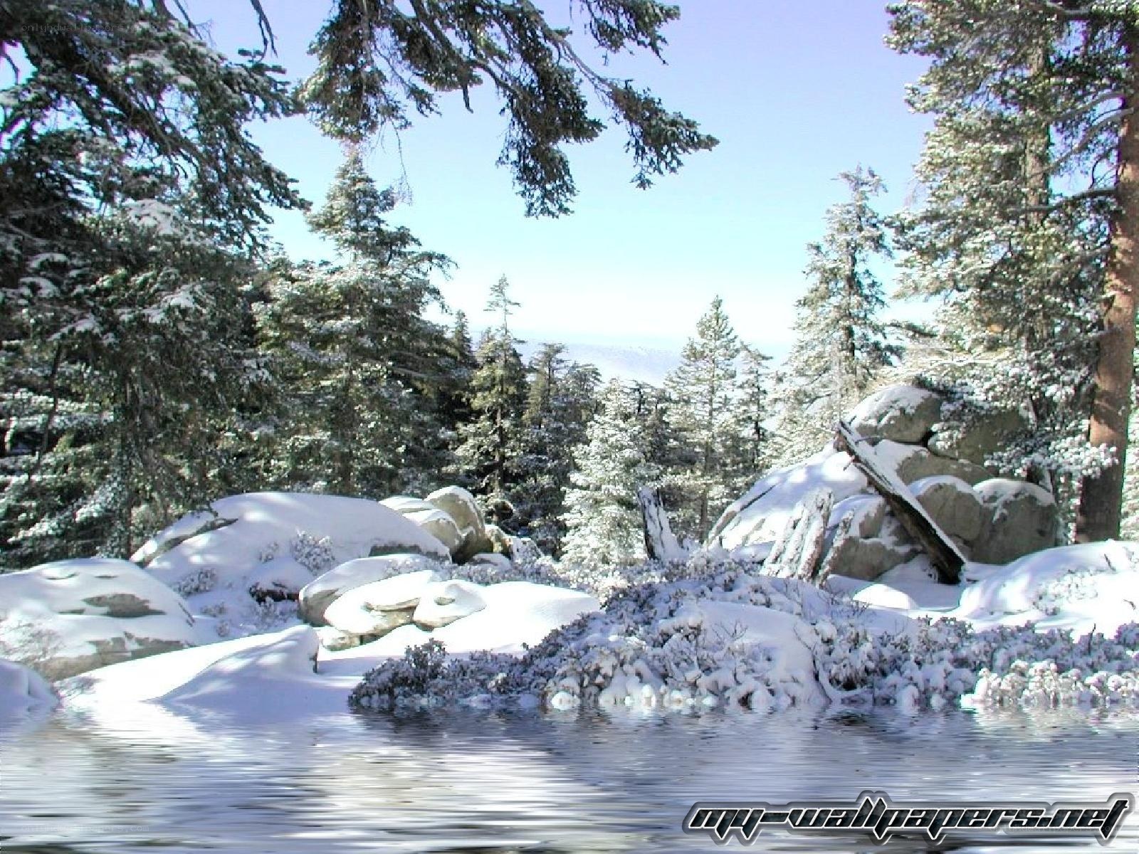 Snowy forest by a lake