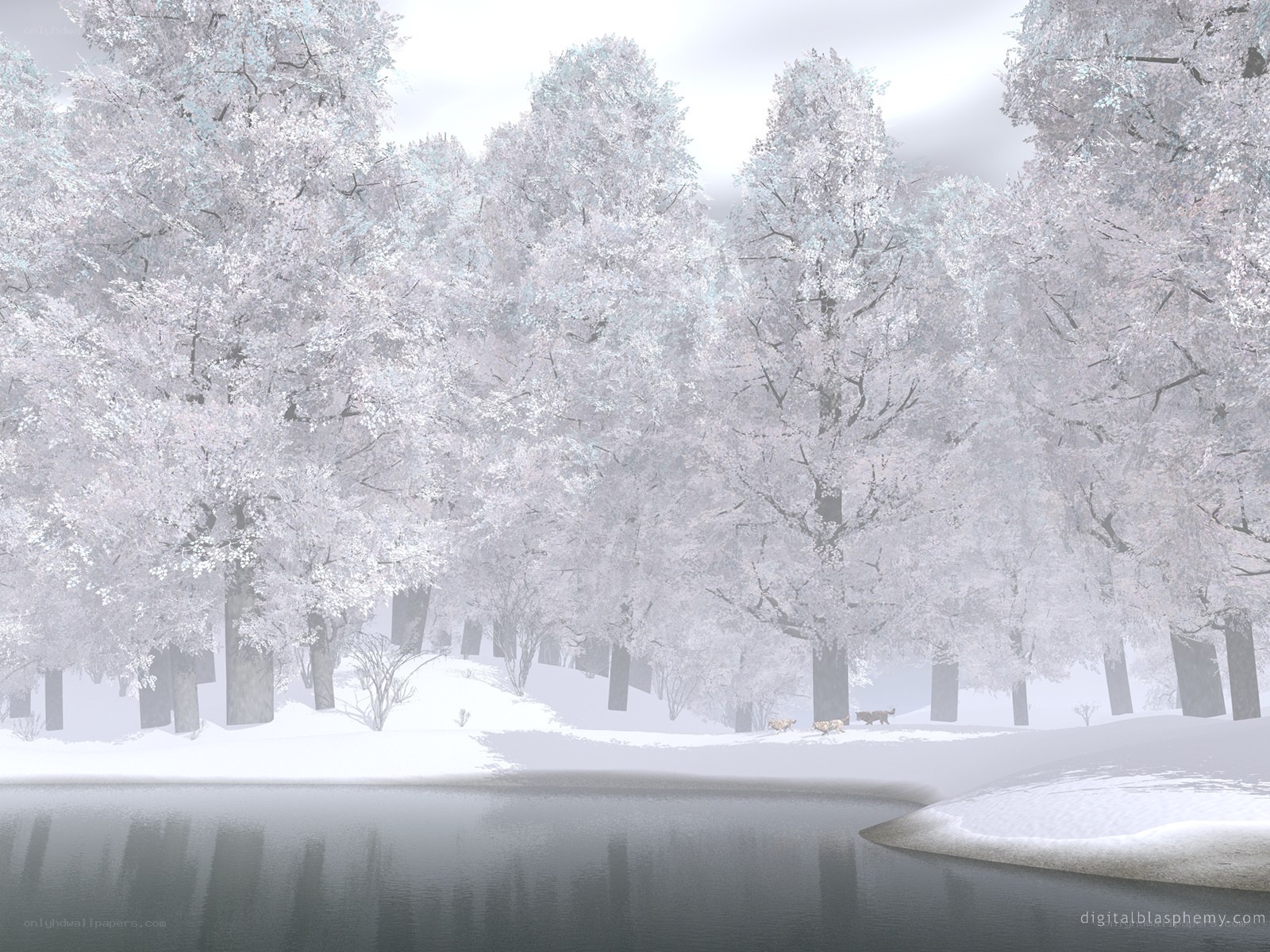 Snowy forest by a lake