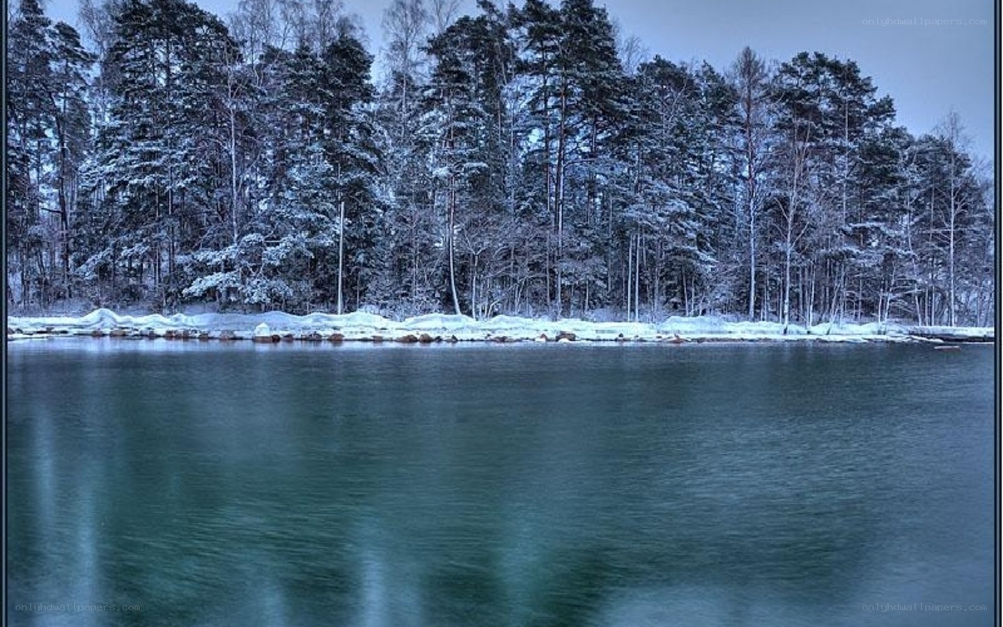 snowy forest by a lake