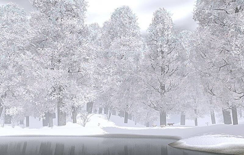 Snowy forest by a lake