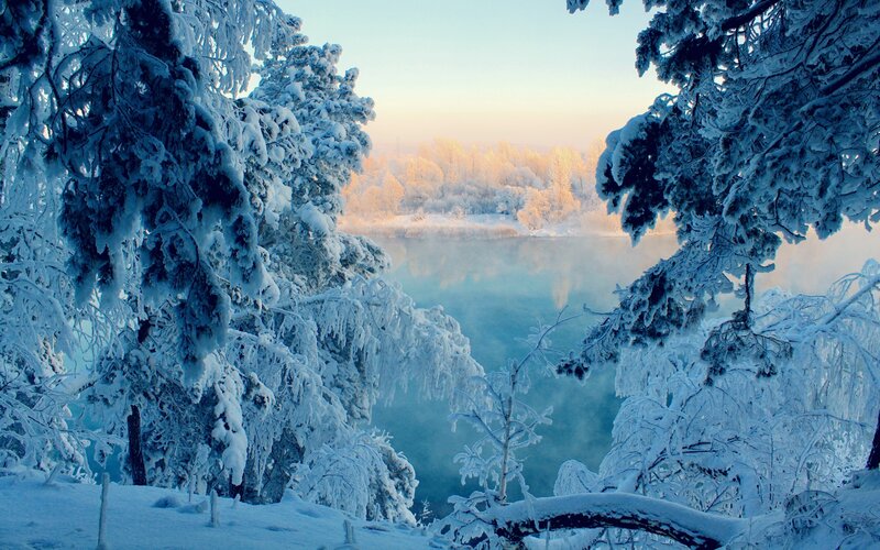 Snowy forest by a misty lake
