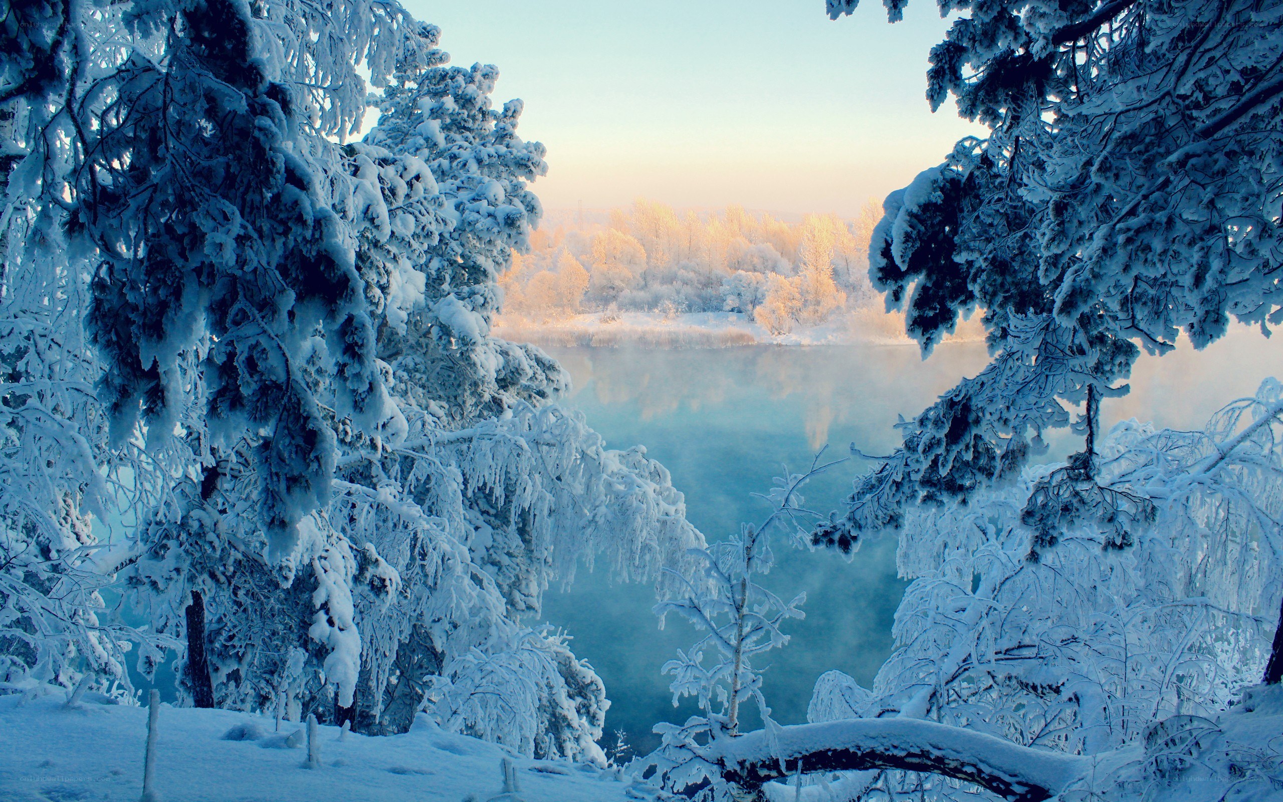 Snowy forest by a misty river