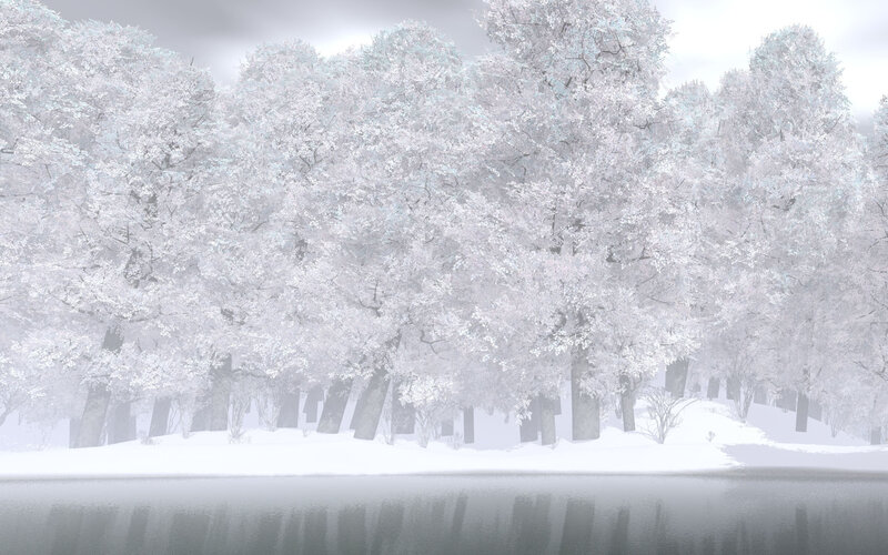 Snowy forest by the lake