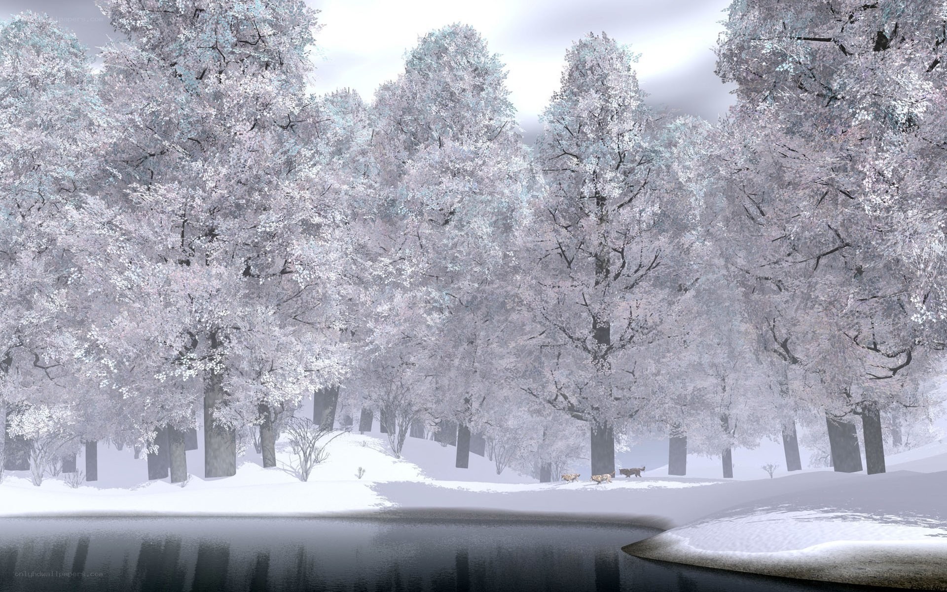snowy forest by the lake