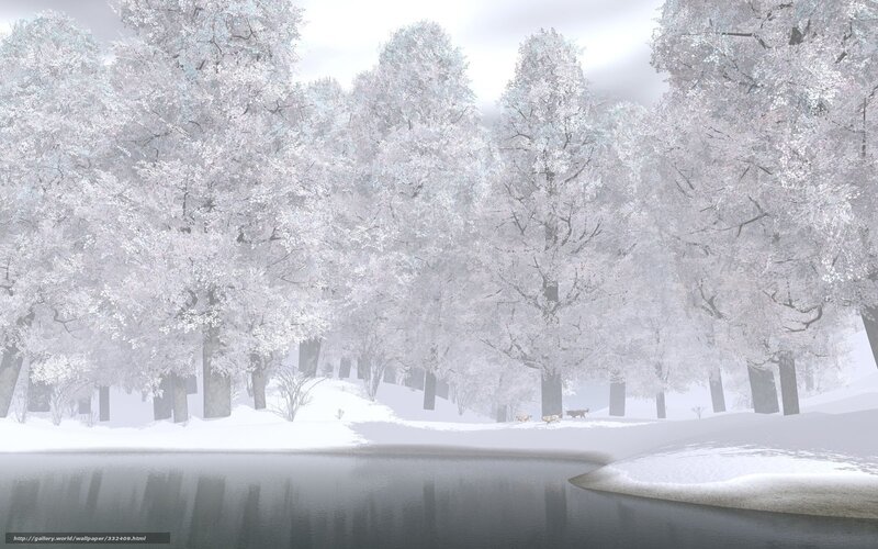 Snowy forest by the lake