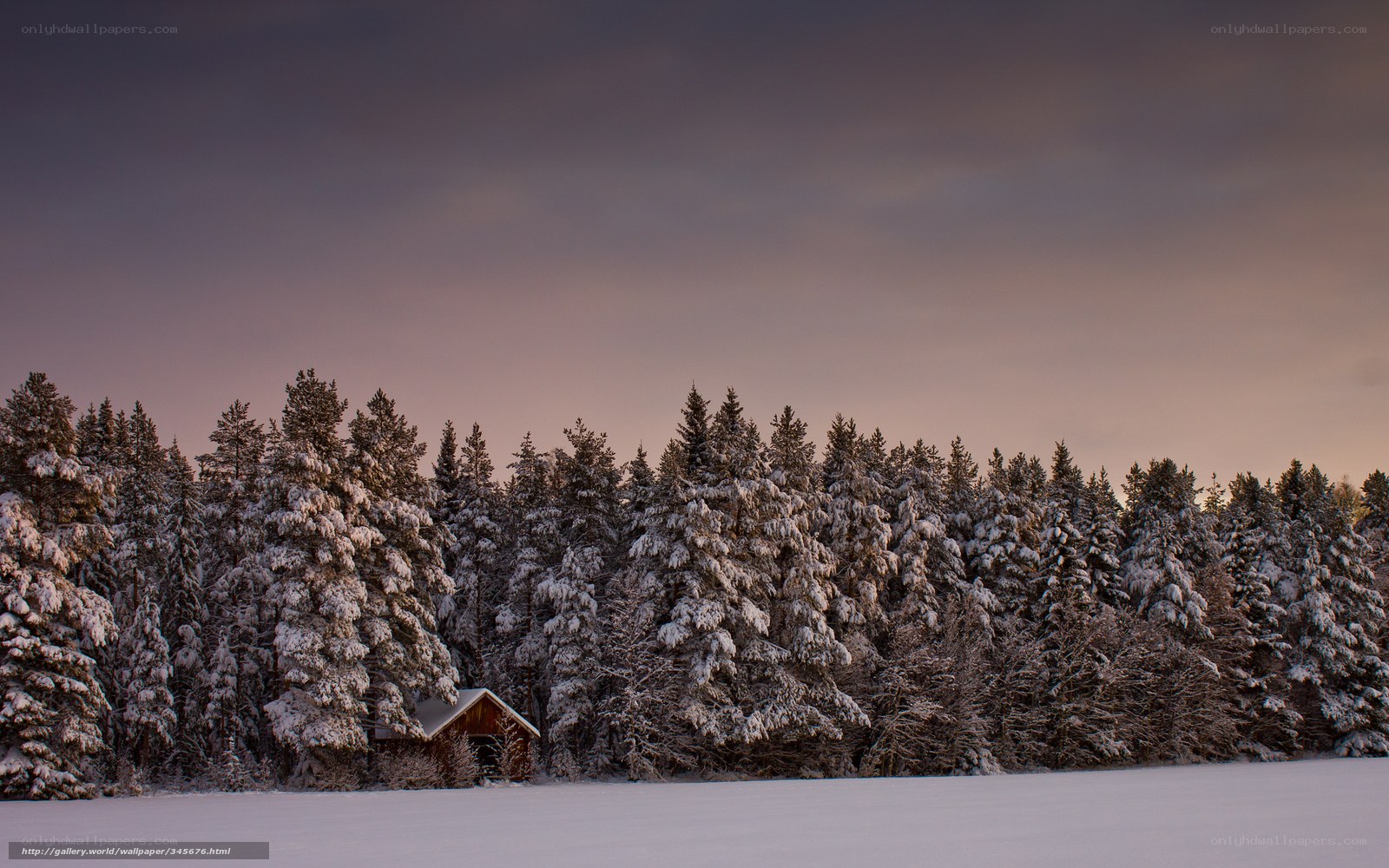 Snowy forest cabin at dusk