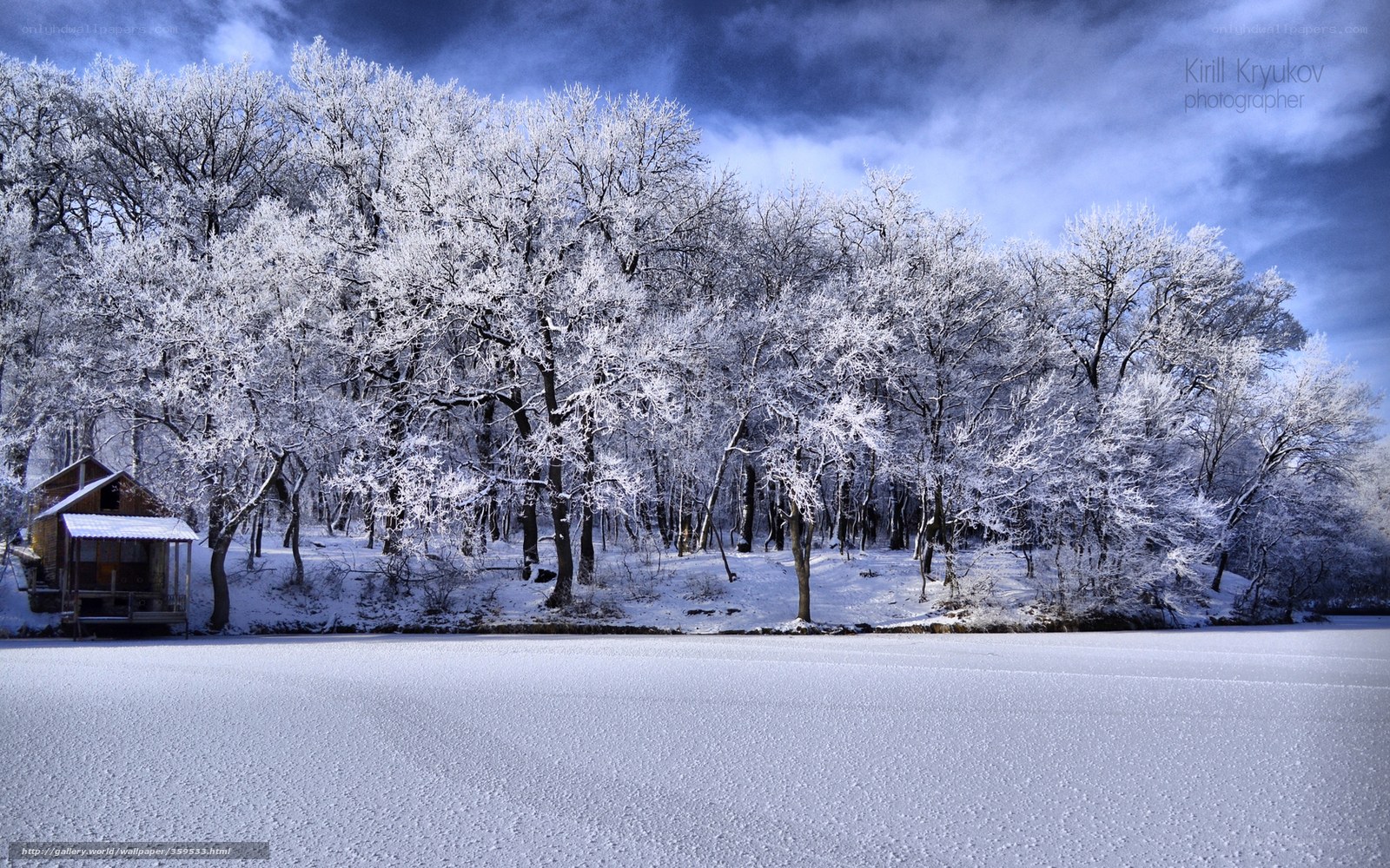 Snowy forest cabin scene