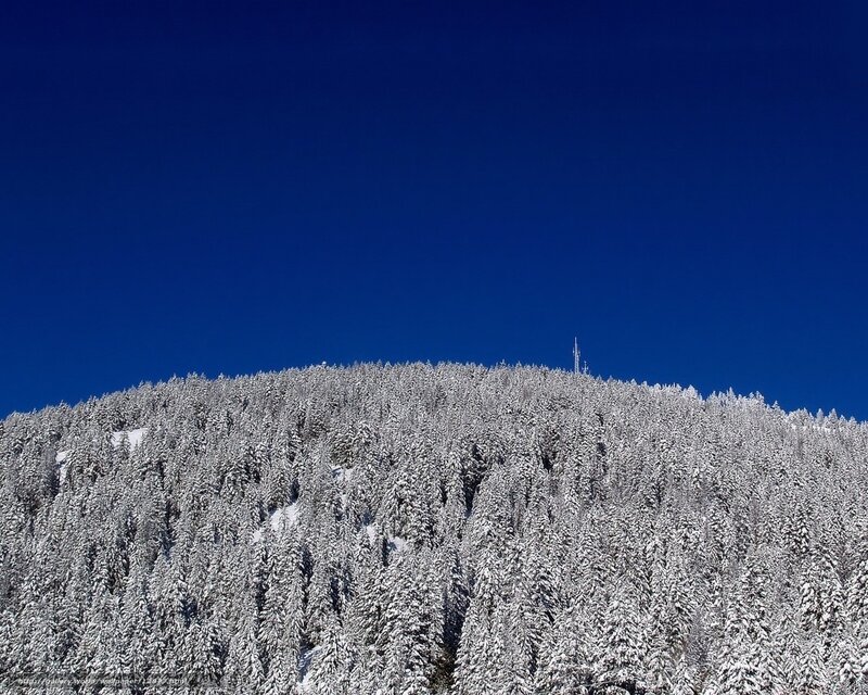 Snowy forest hill under blue sky