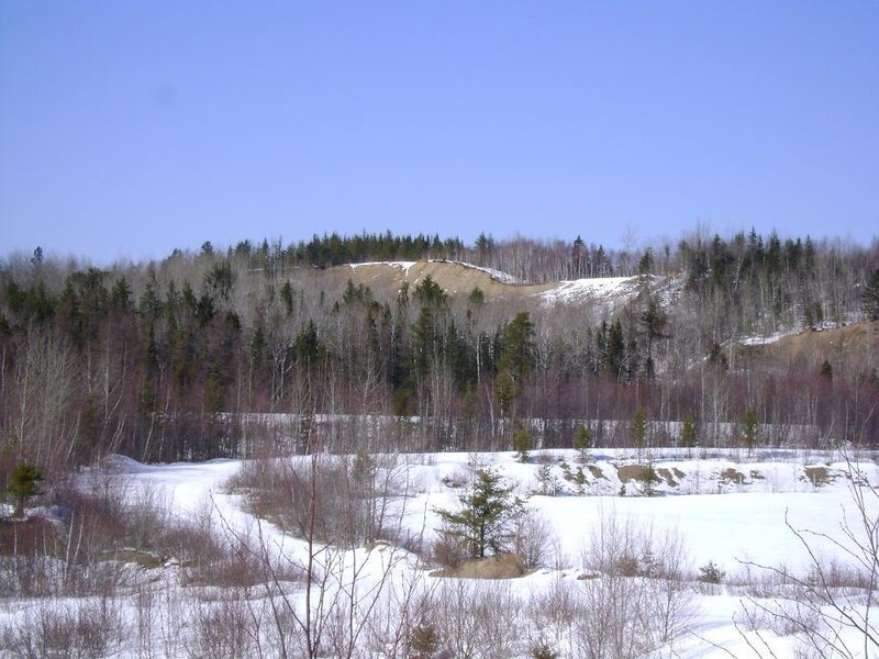 snowy forest hillside