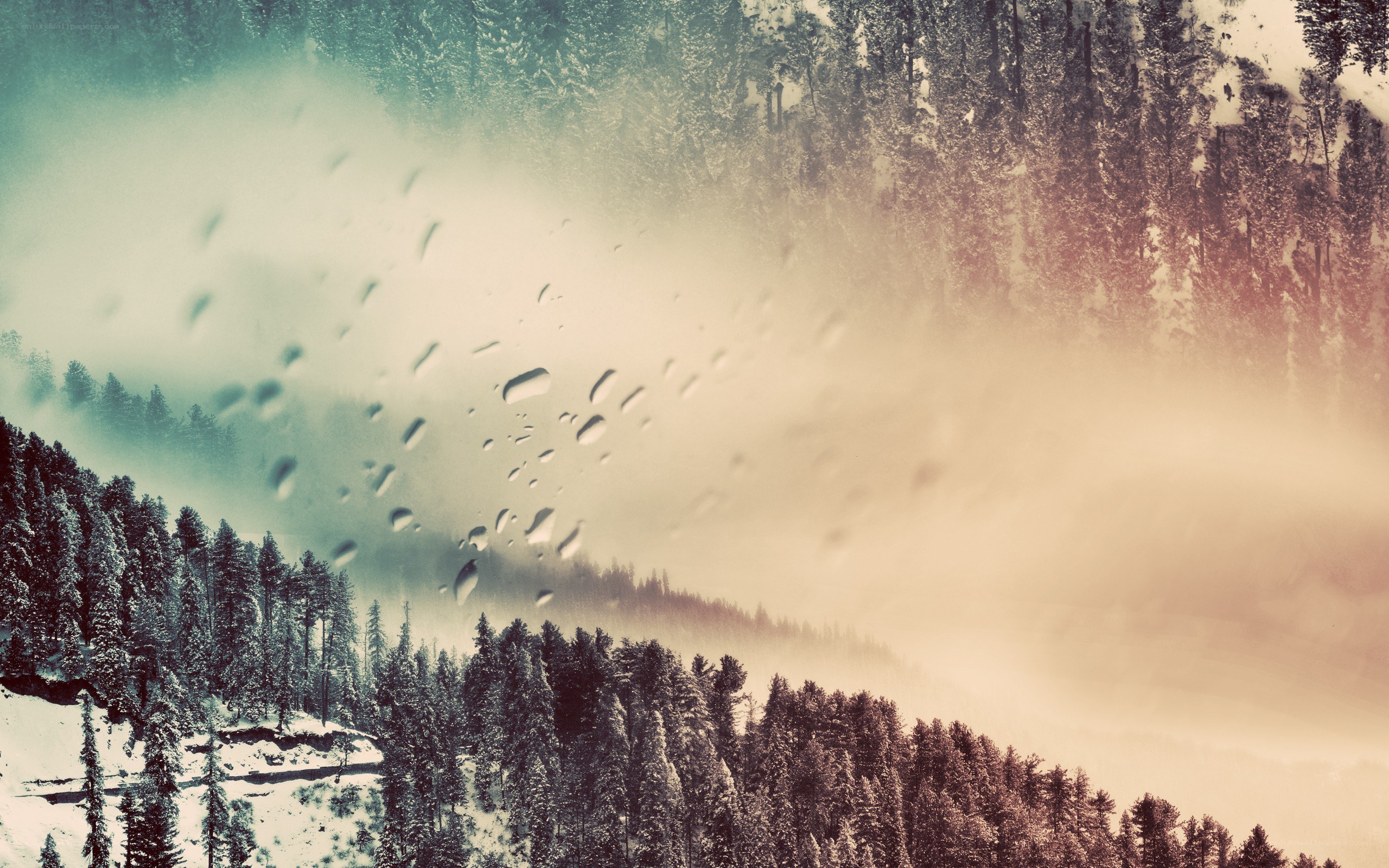 snowy forest in mist