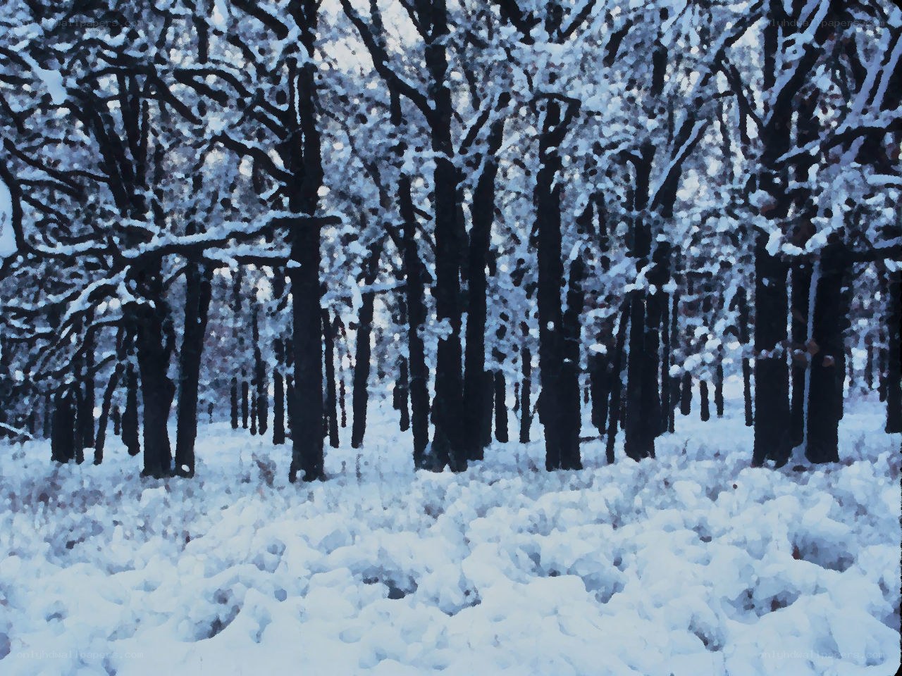 Snowy forest in winter