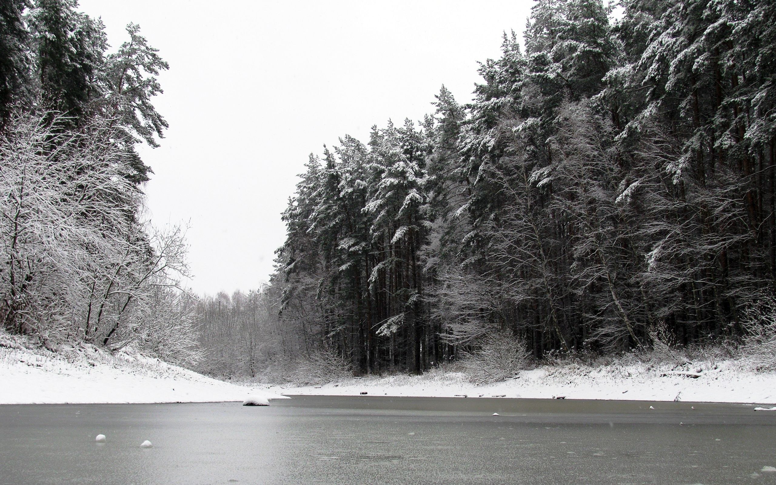 snowy forest lake