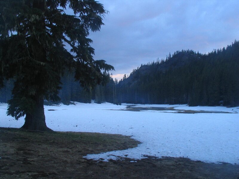 snowy forest lake at dusk