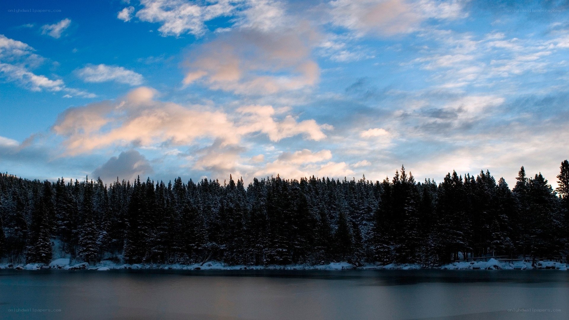 snowy forest lake at dusk