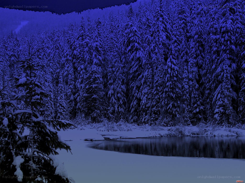 Snowy forest lake at night