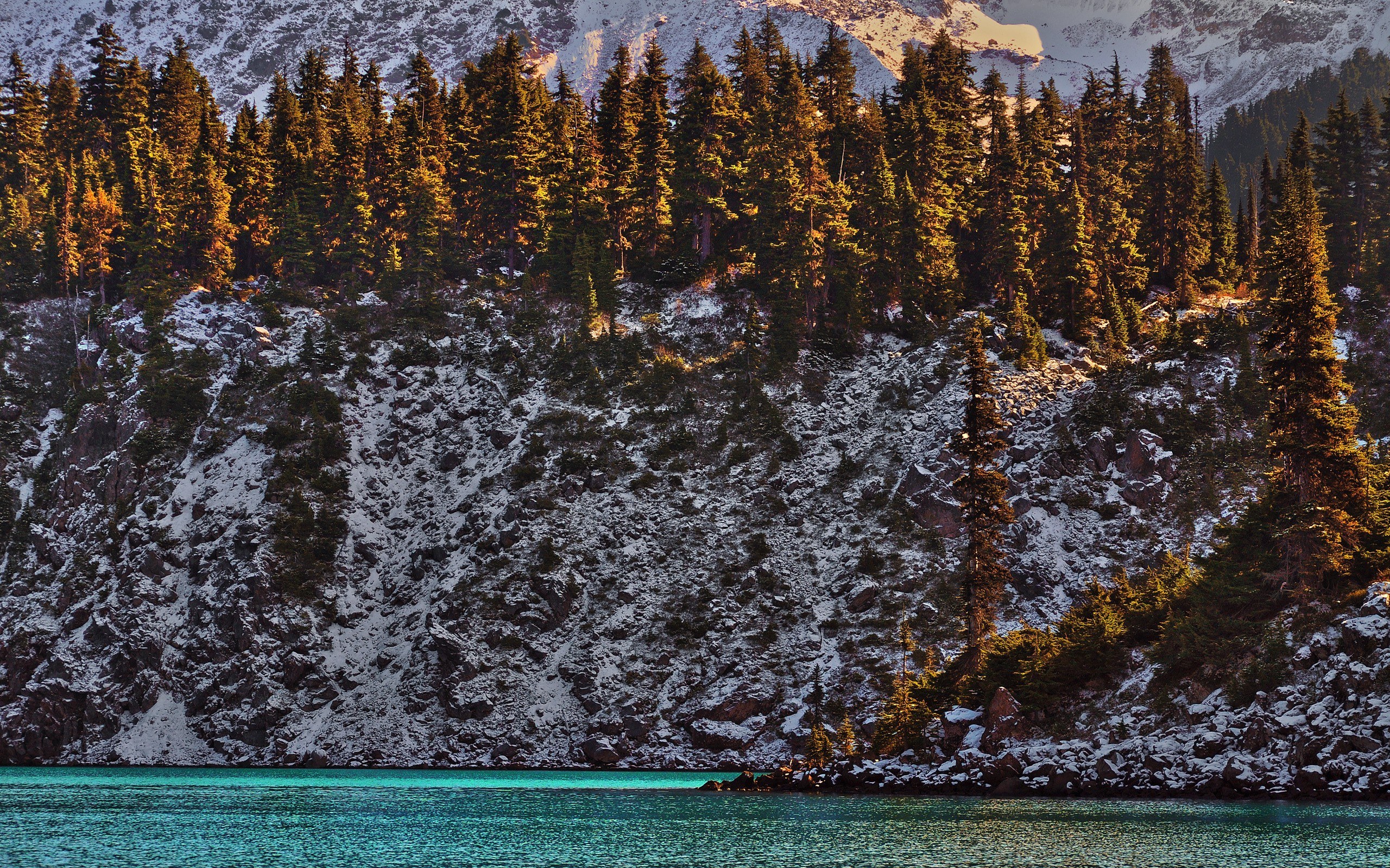 snowy forest lake at sunset