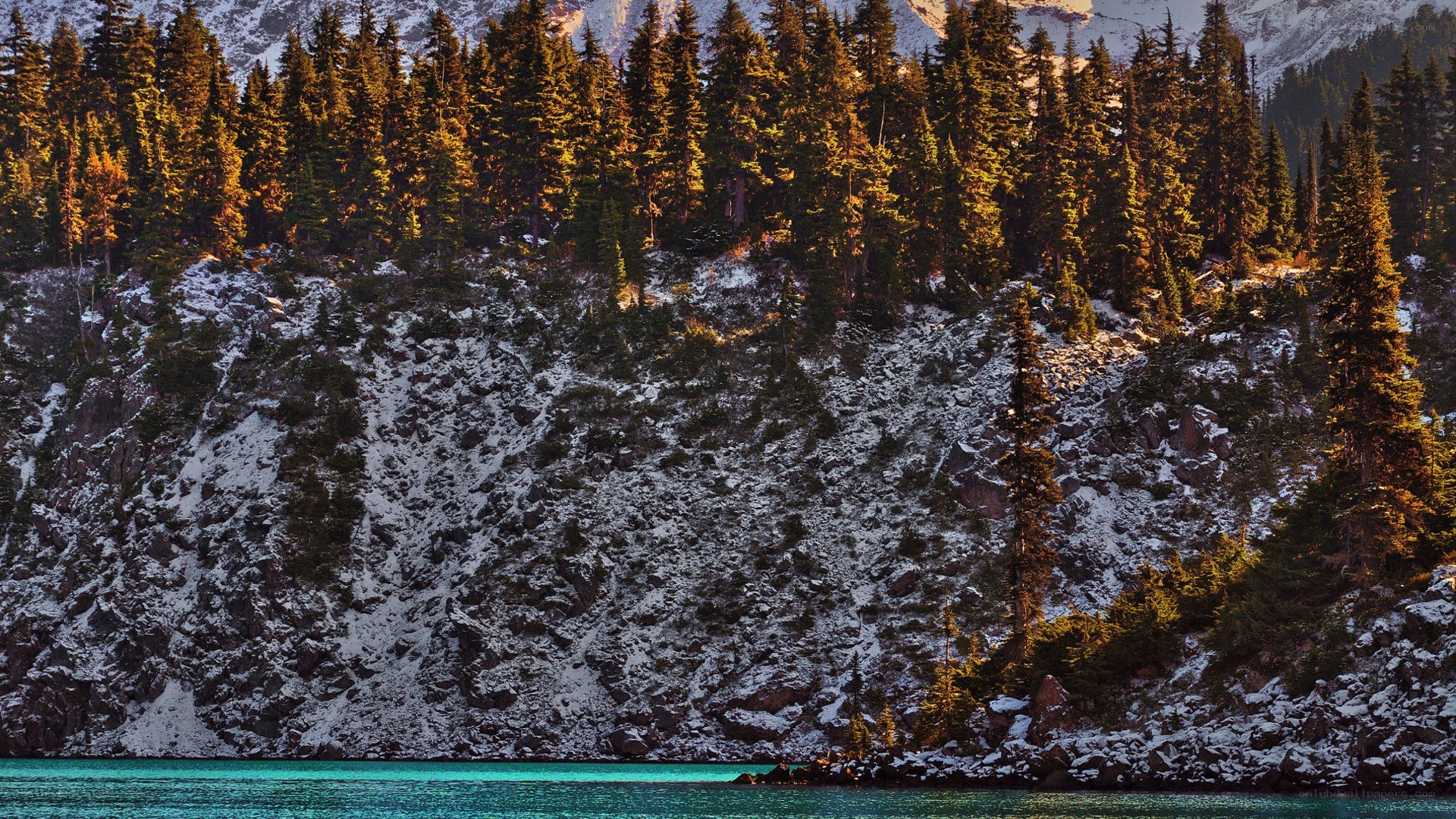 Snowy forest lake at sunset
