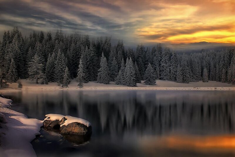 Snowy forest lake at sunset