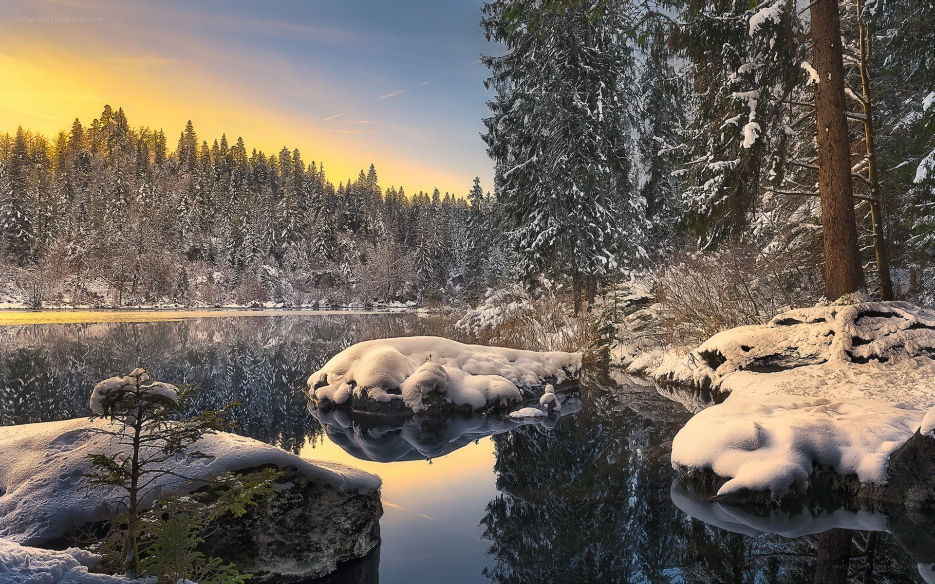 Snowy forest lake at sunset