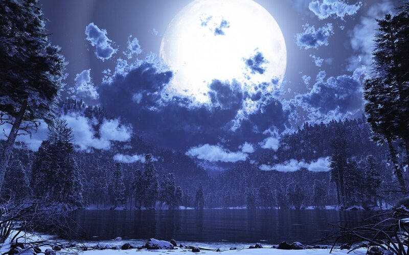 Snowy Forest Lake — Blue, Serene