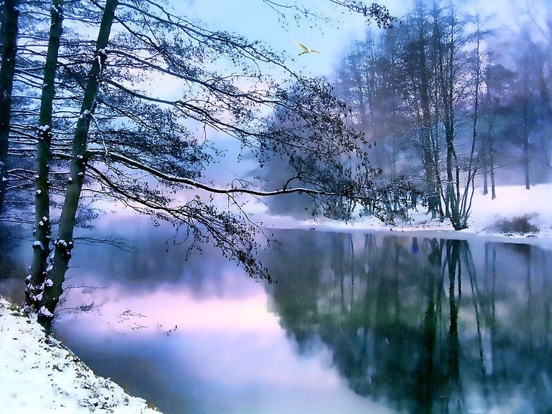 Snowy Forest Lake — Blue
