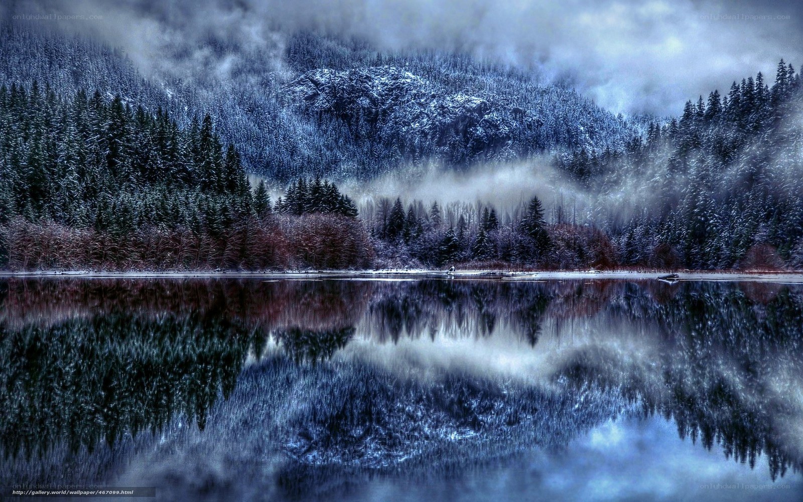 Snowy forest lake reflection