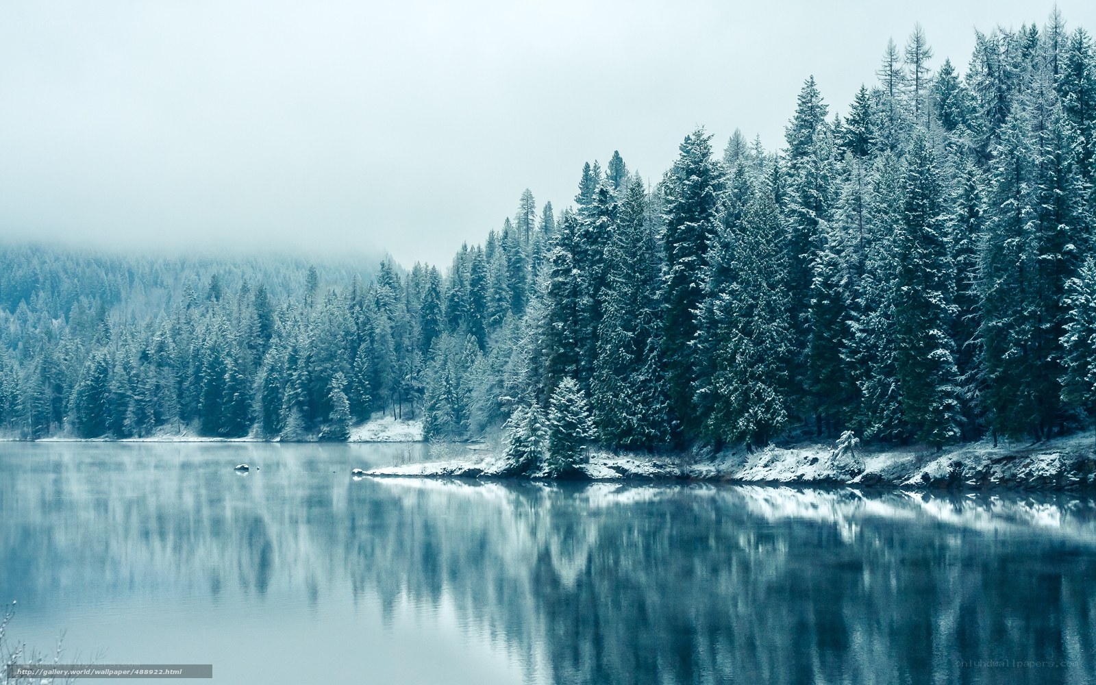 Snowy forest lake reflection