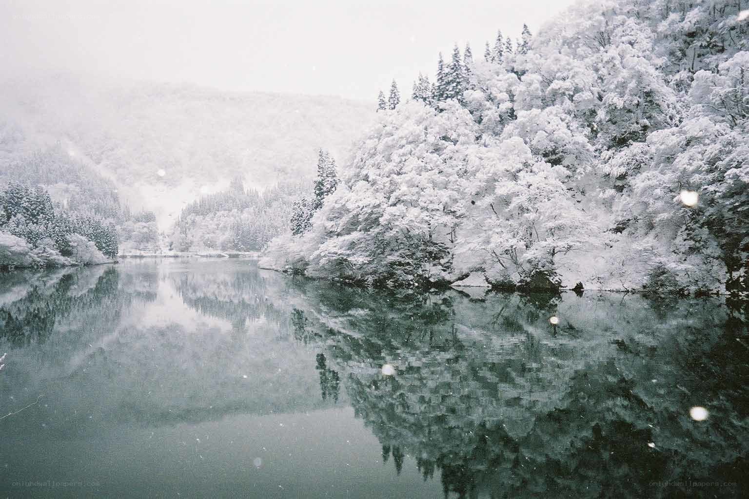 Snowy forest lake reflection