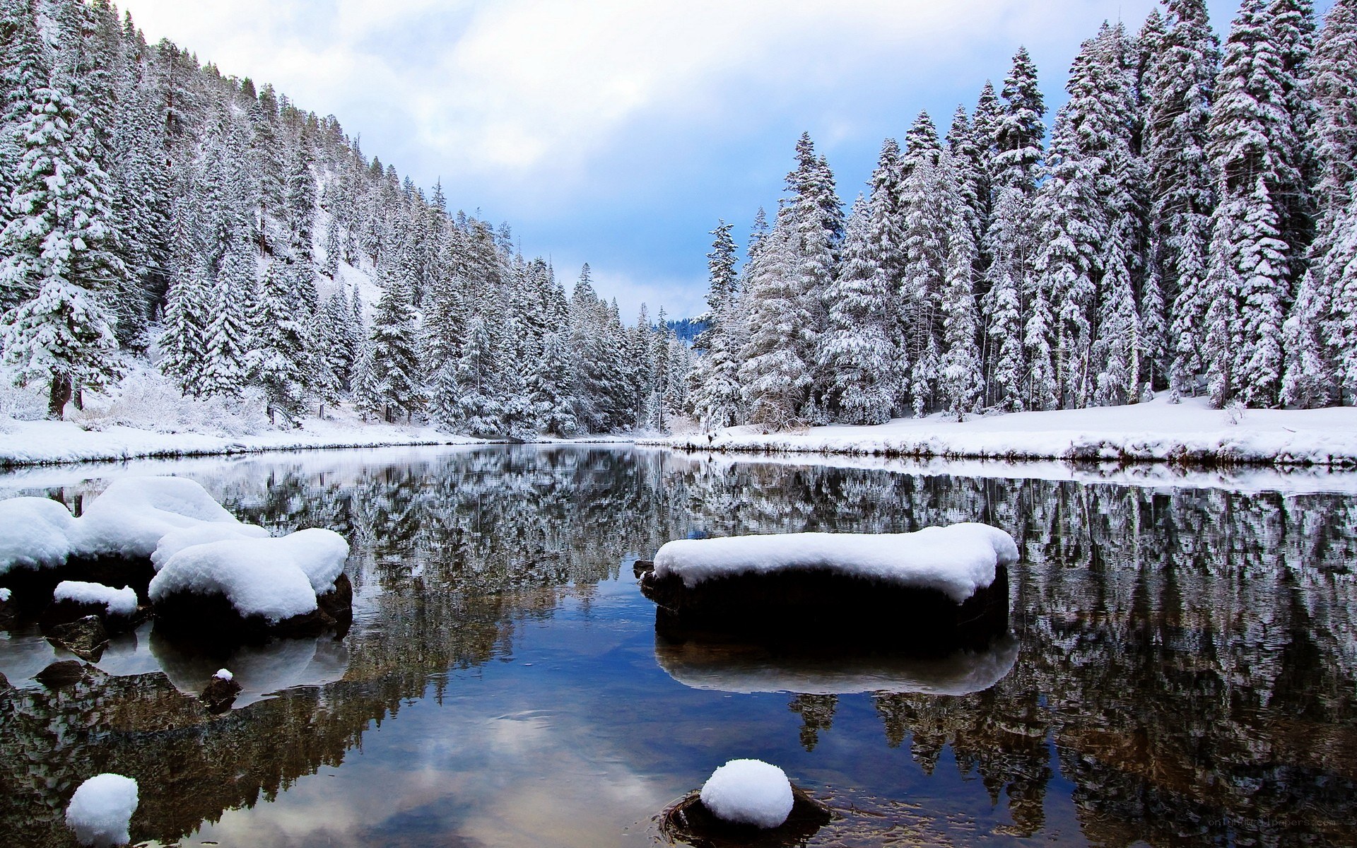 Snowy forest lake reflection