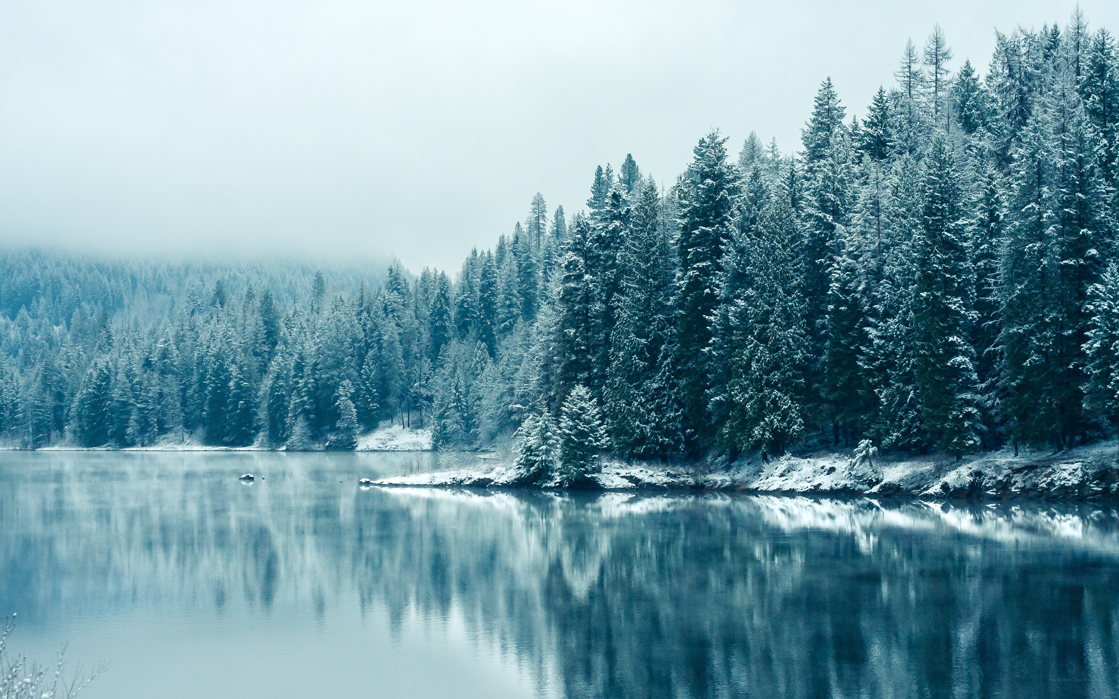 Snowy forest lake reflection