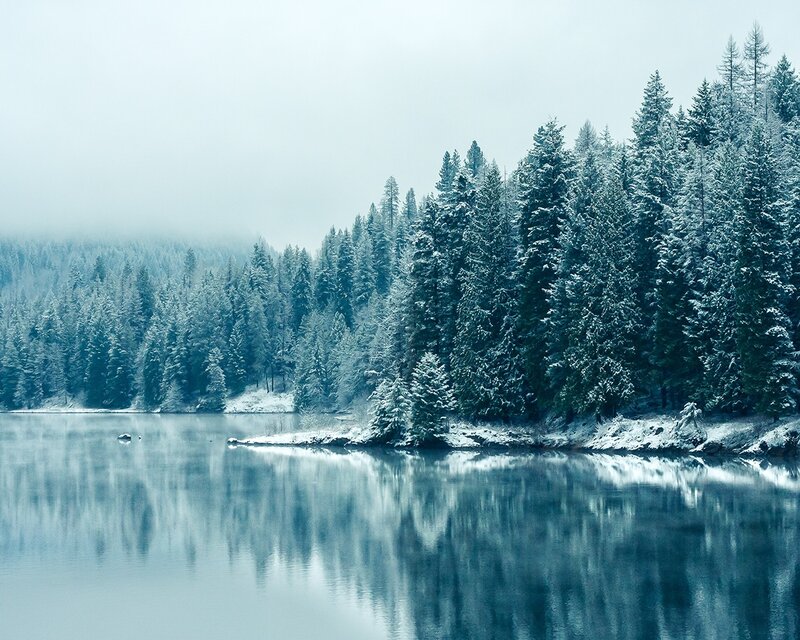 Snowy forest lake reflection