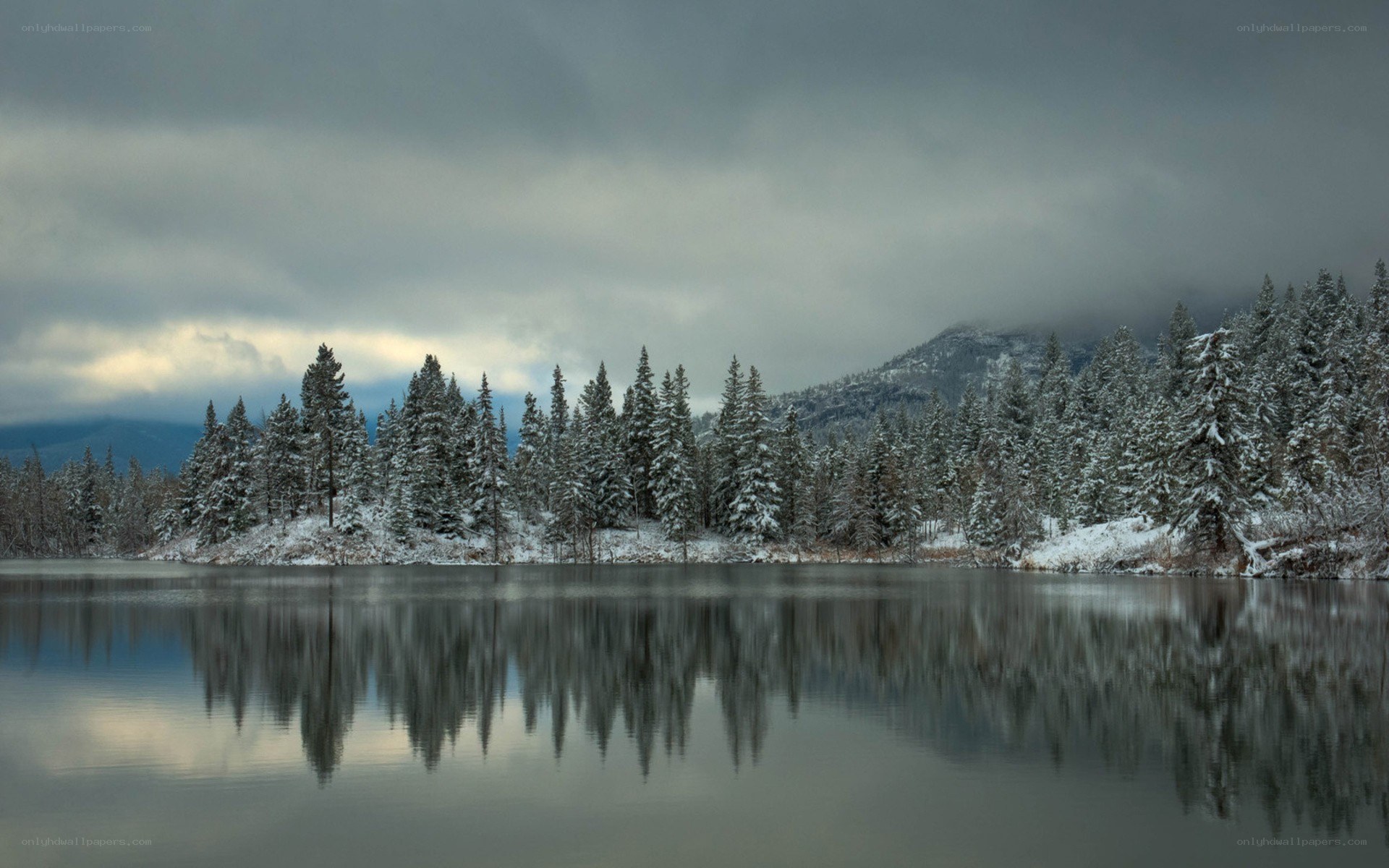 Snowy forest lake reflection