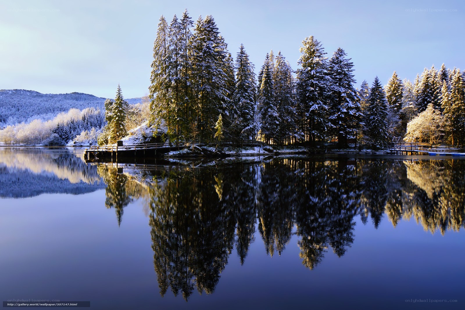 Snowy forest lake reflection
