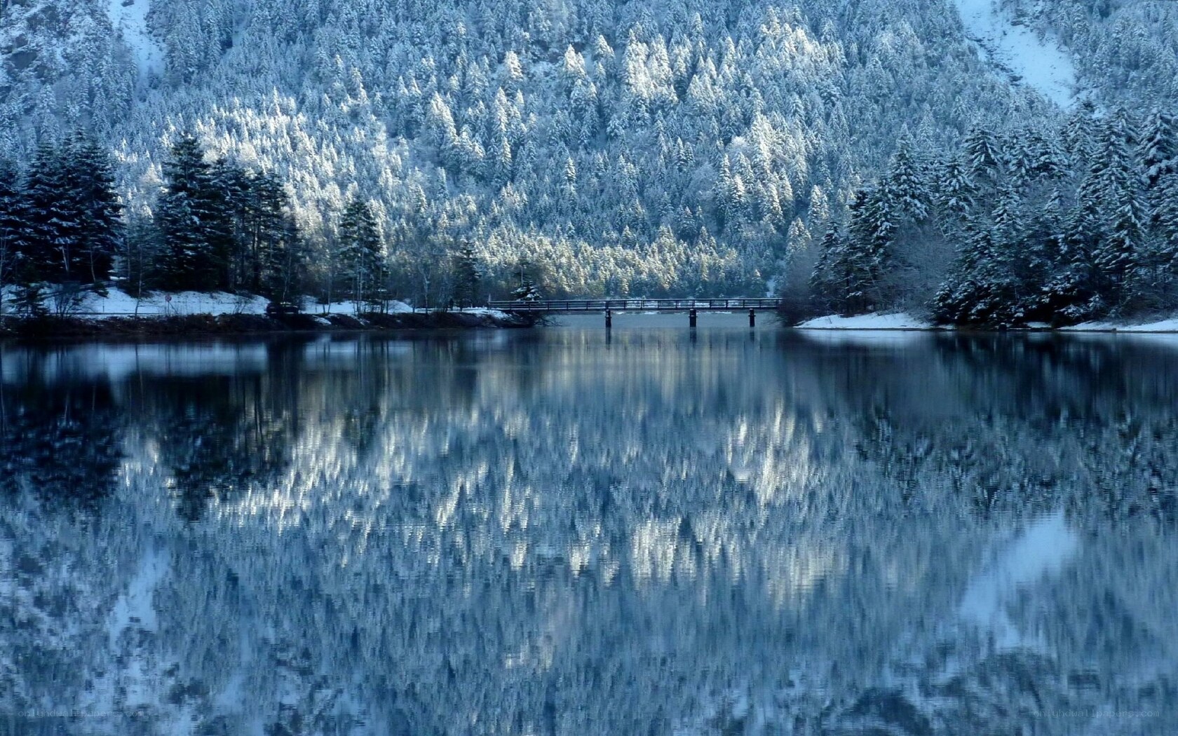 Snowy forest lake reflection