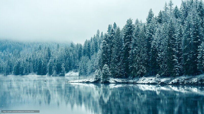 Snowy forest lake reflection
