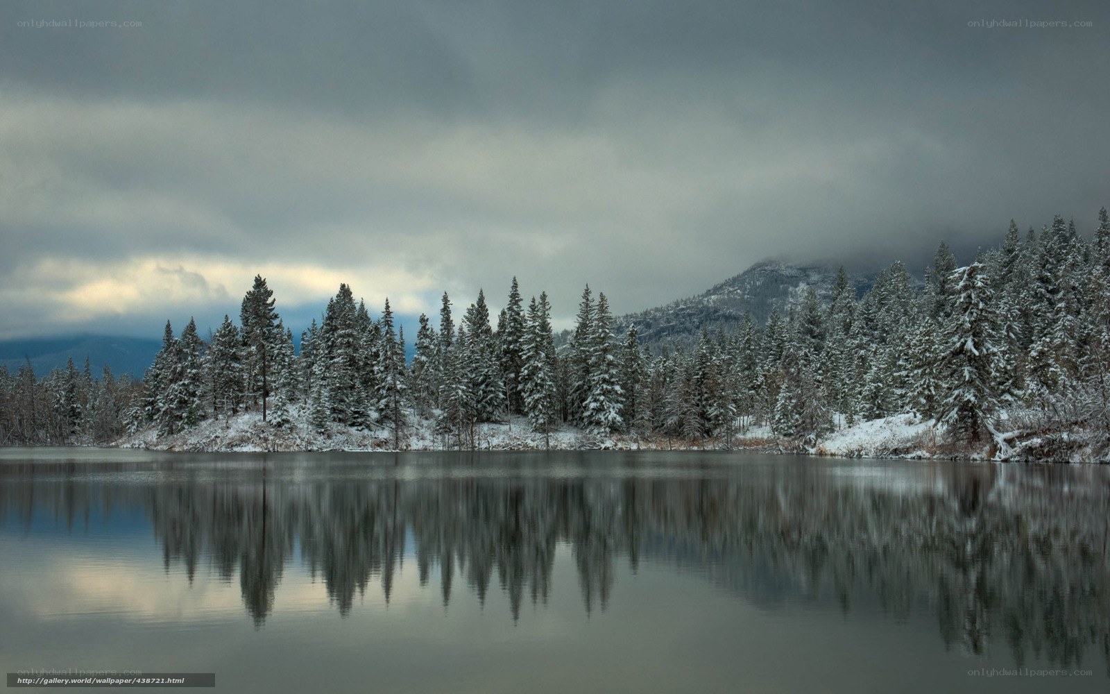 Snowy forest lake reflection