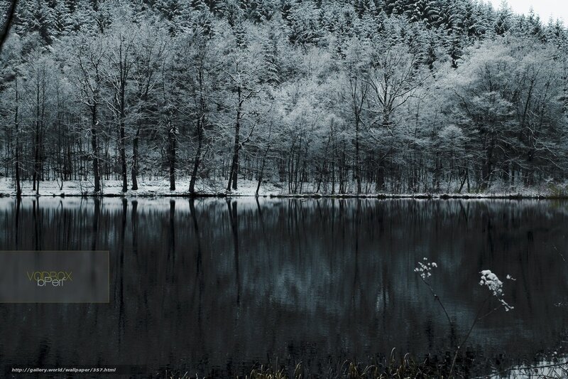 Snowy forest lake reflection