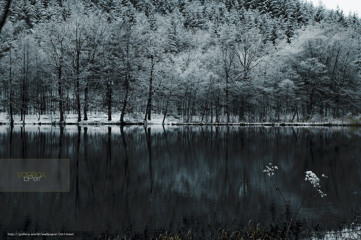 Snowy forest lake reflection