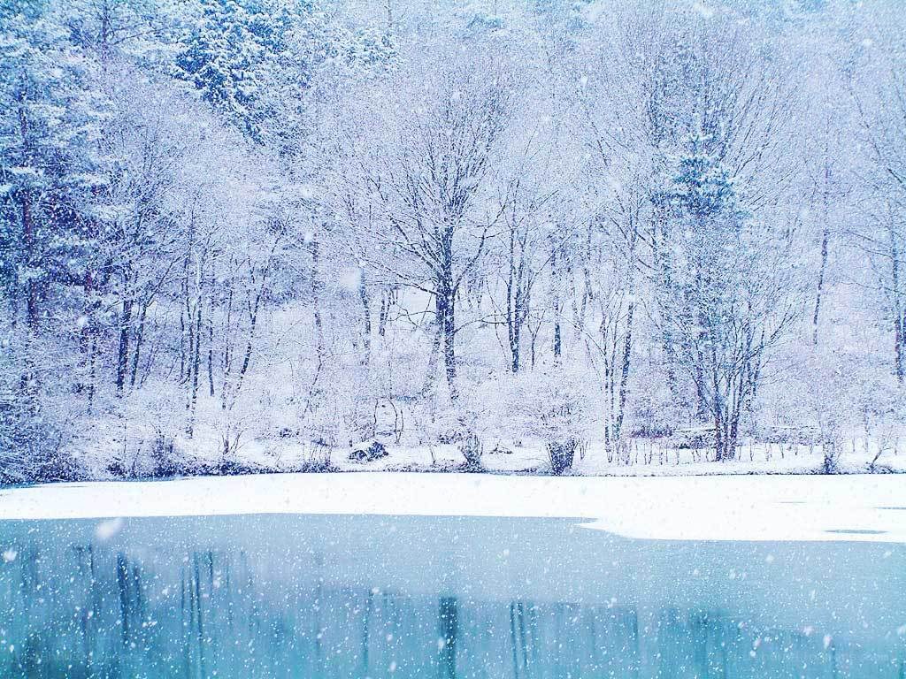 Snowy forest lake scene