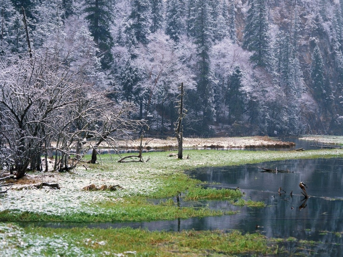 Snowy forest lake scene